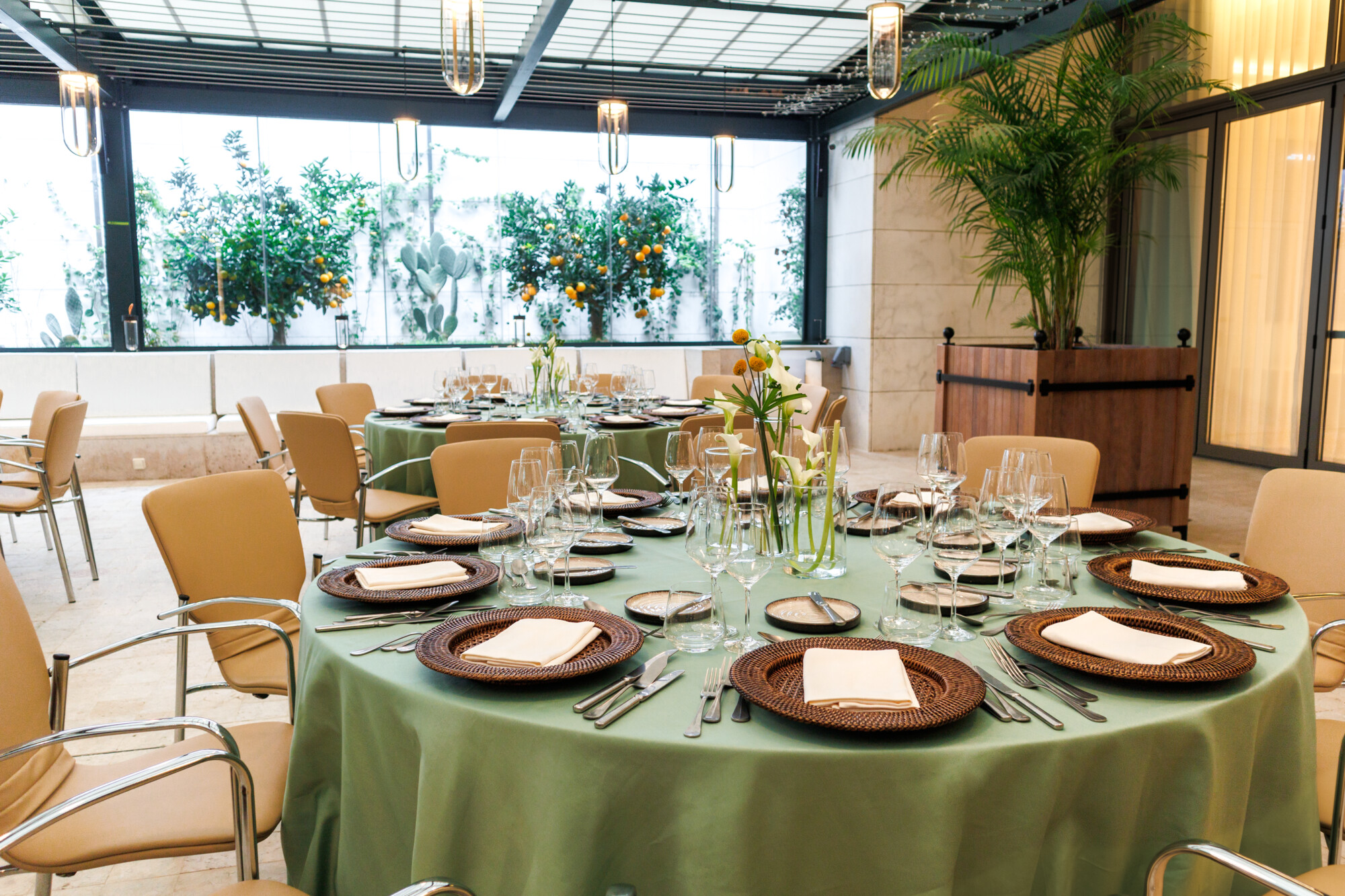The Patio