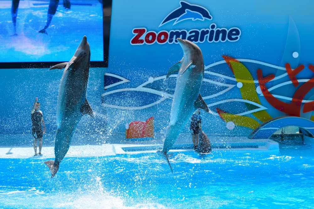 Zoomarine Algarve
