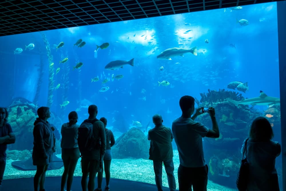 Oceanário de Lisboa