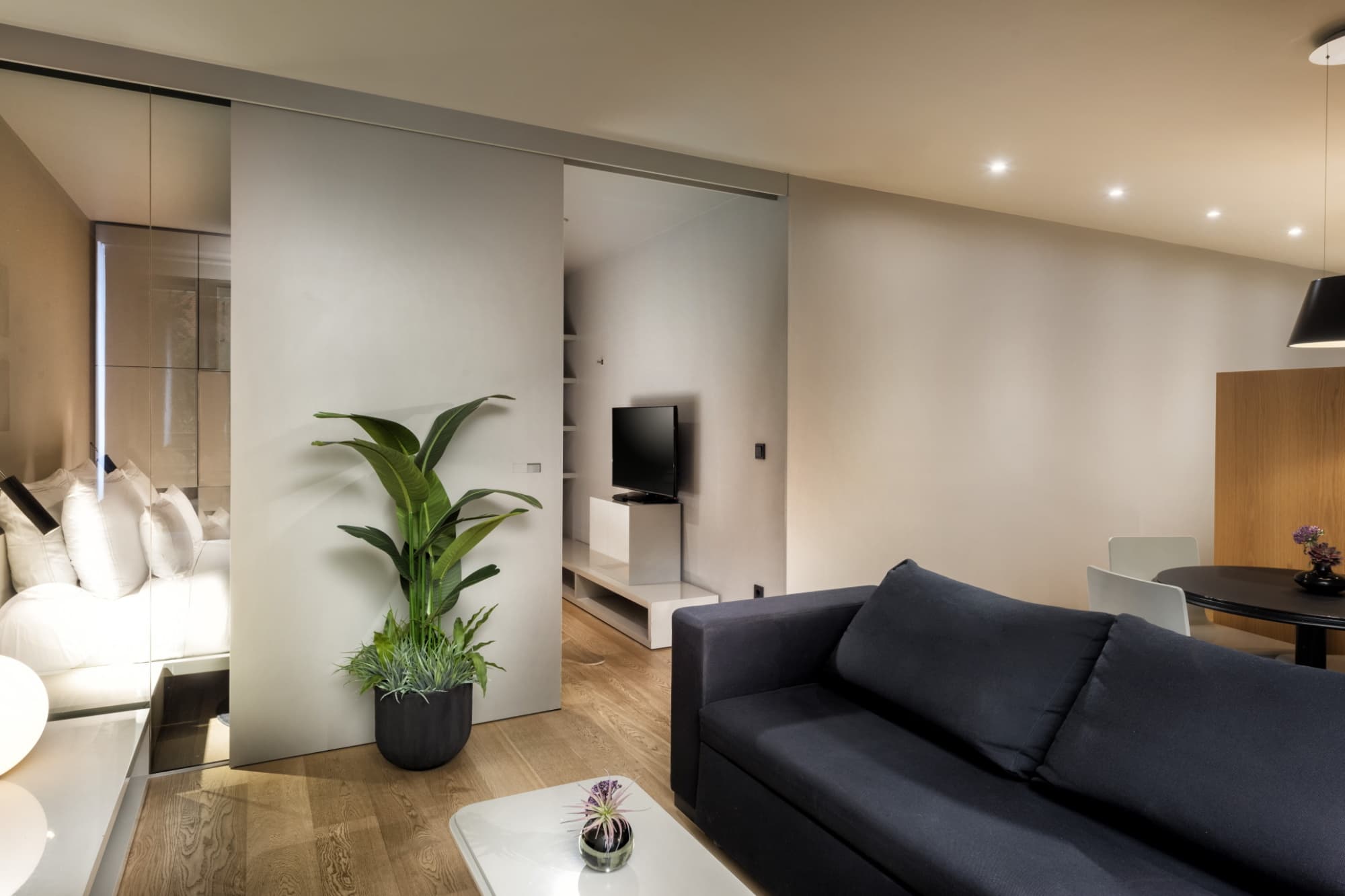 Suite Home - Studio