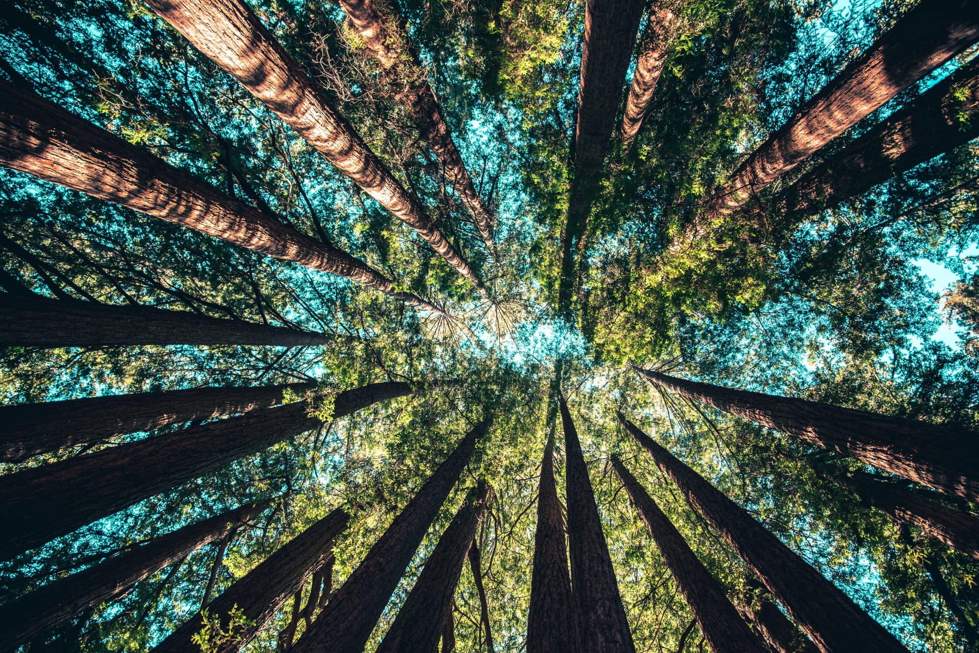 Sustentabilidade Sana Hotels