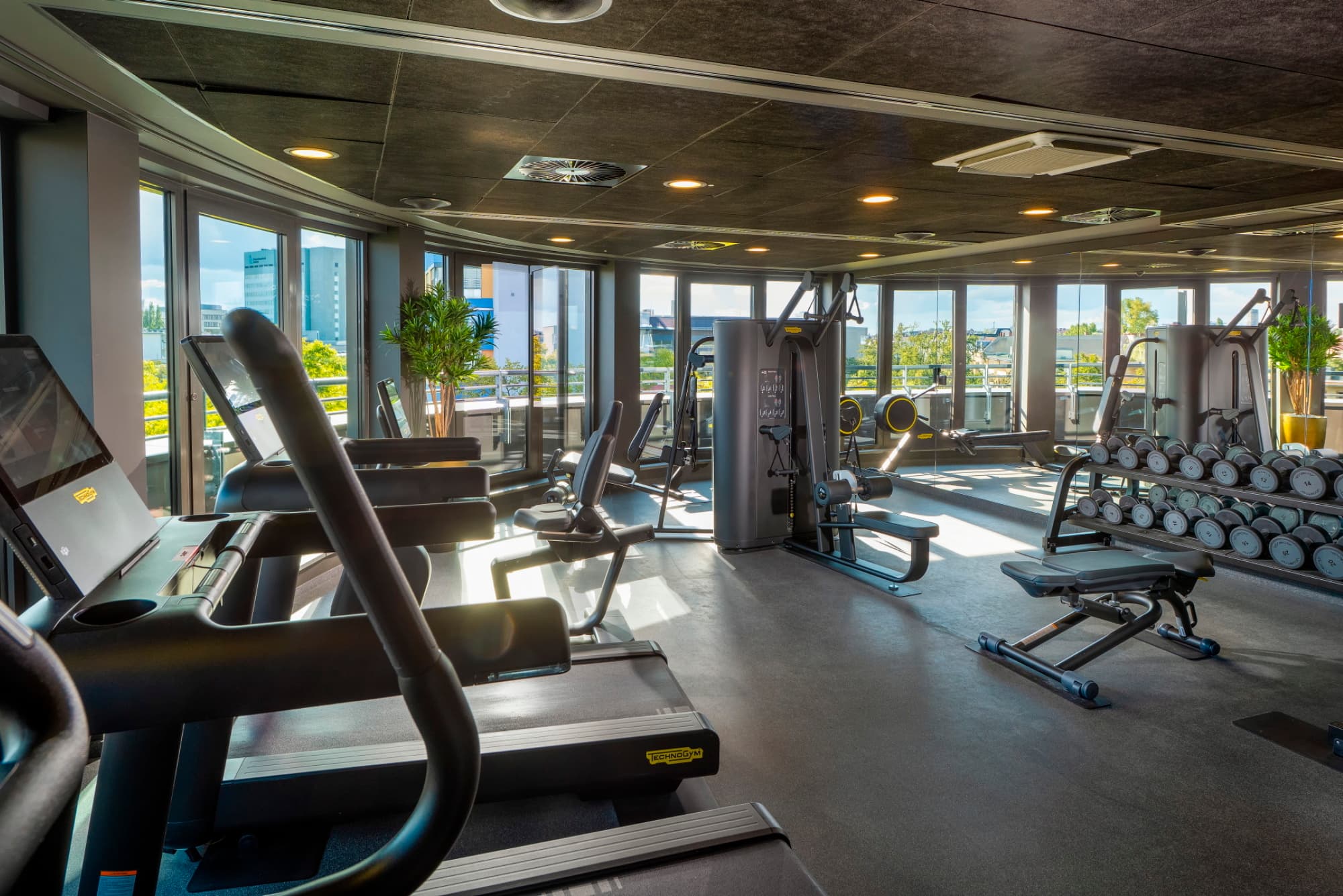 02 Gym And Wellness