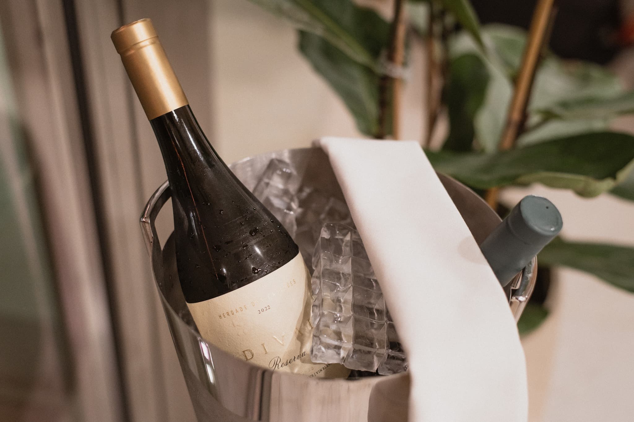 Vinho Divai