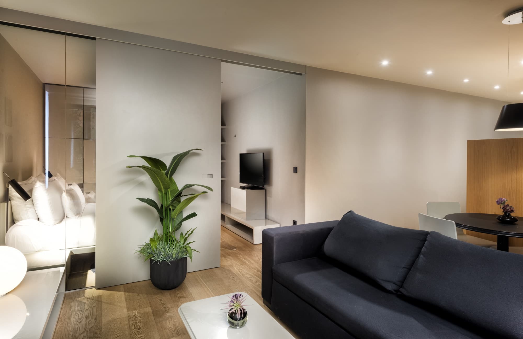Suite Home - Studio